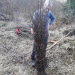 Finished besom bundle