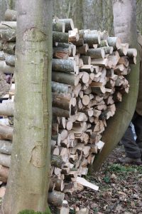 wonky_log_pile