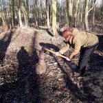 Splitting_wood