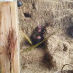 Finding an insulated spot