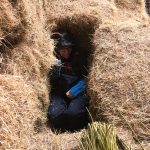 Finding a warm space in the hay