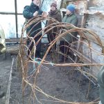 Willow tunnel