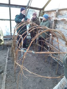Willow tunnel