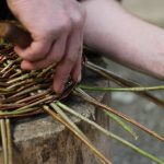 Pricking up - bending stakes