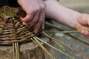 Pricking up - bending stakes