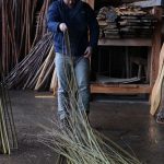 Grading willow