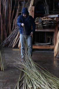 Grading willow