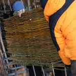 Carefully remove hurdle rods from bale