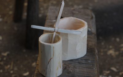 Shrinkpot Sunday